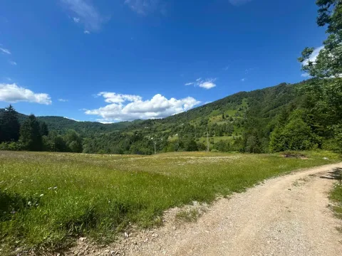 Prodaja, plac, 62000m², Bare Kraljske, Kolašin - image 3