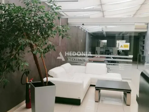 Rent, office space, 600m², Zemun Centar, Zemun Sve Podlokacije - image 2