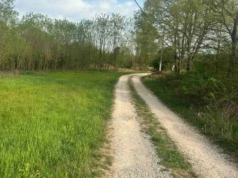 Prodaja, plac, 10860m², Orja Luka, Danilovgrad - image 12