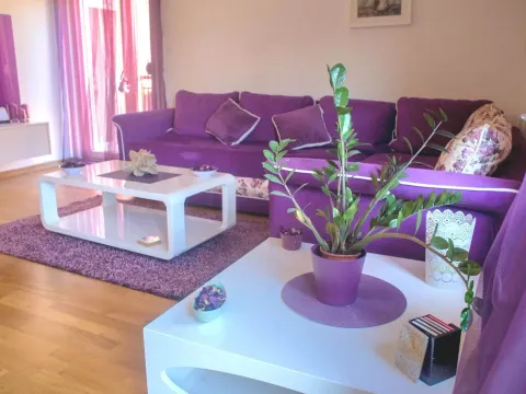 Stan in Dalmatinska ulica