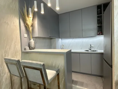 Rent, one bedroom apartment, 44m², Blok 9, Podgorica - image 5