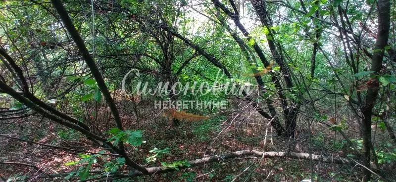 Prodaja, plac, 850m², Surčin, Beograd