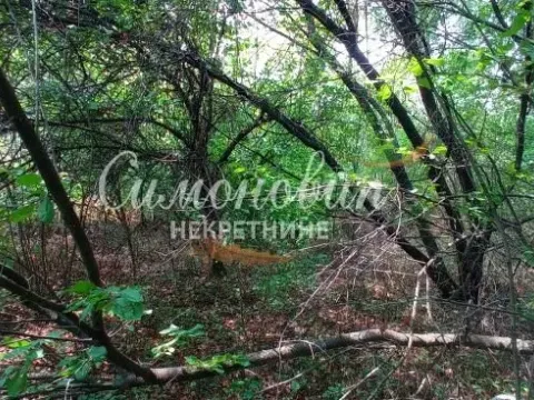 Prodaja, plac, 850m², Surčin, Beograd - image 4