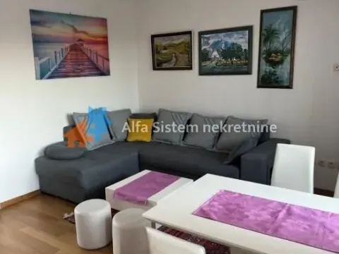 Izdavanje, dvosoban stan, 48m², Stari Grad, Beograd - image 10