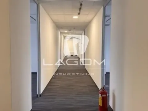 Rent, office space, 838m², Novi Beograd Blok 67, Novi Beograd Sve Podlokacije - image 8