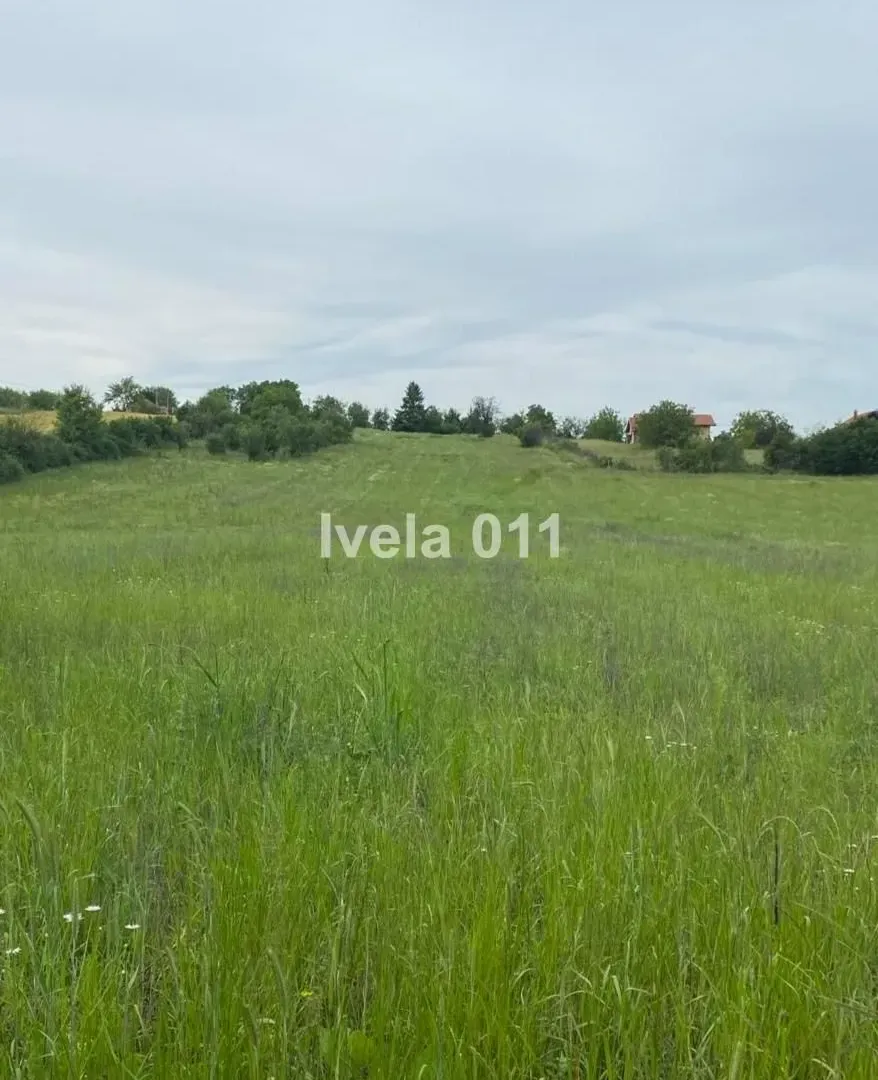 Prodaja, plac, 9500m², Koraćica, Mladenovac