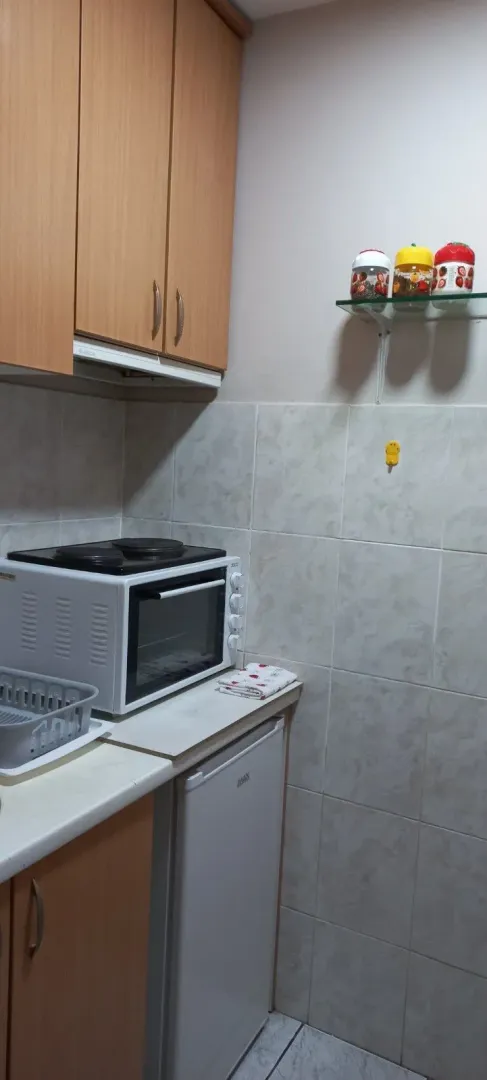 Small kitchen with wooden cabinetry, a small stove, and a refrigerator.