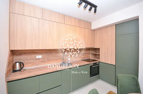 Rent, one bedroom apartment, 59m², Central Point, Podgorica - image 645