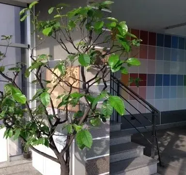 Sale, office space, 950m², Zvezdara Sve Podlokacije, Beograd - image 3