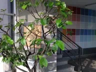 Sale, office space, 950m², Zvezdara Sve Podlokacije, Beograd - image 3