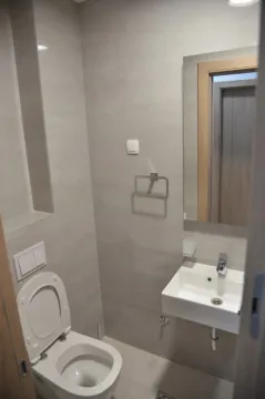 A small modern bathroom with a toilet and sink. - image 13