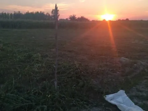 Sale, land lot, 500m², Veternik, Novi Sad Sve Podlokacije - image 2