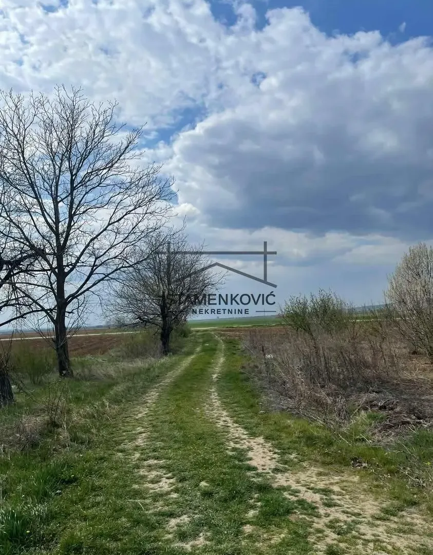 Prodaja, plac, 4636m², Sremska Mitrovica, Srbija