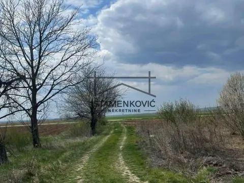 Prodaja, plac, 4636m², Sremska Mitrovica, Srbija - image 3