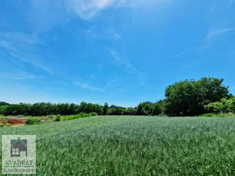 Prodaja, plac, 3500m², Jasenak, Obrenovac - image 4