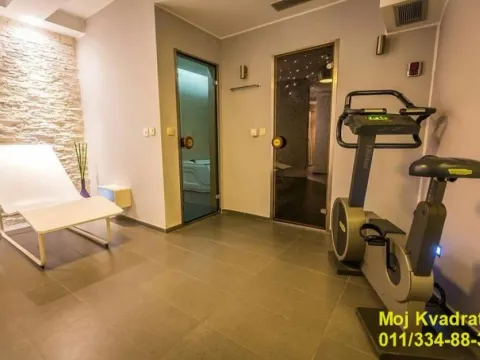 Izdavanje, dvosoban stan, 150m², Šumice, Beograd - image 10