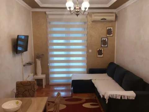 Izdavanje, jednosoban stan, 45m², Stari Aerodrom, Podgorica - image 9