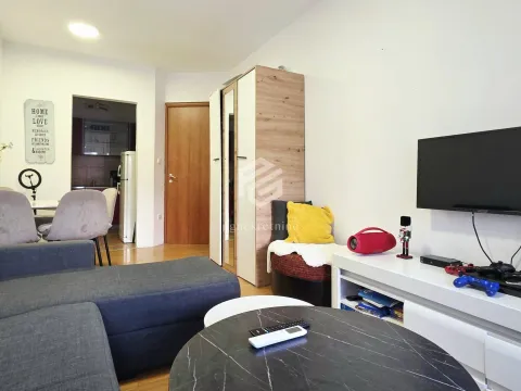 Rent, one bedroom apartment, 45m², Vezirov Most, Podgorica - image 2