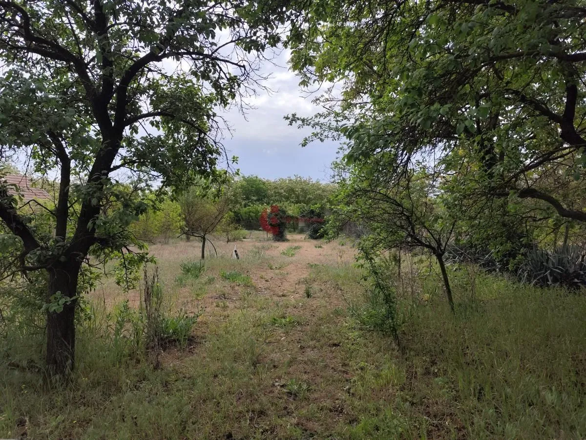 Prodaja, kuća, 50m², Peščara, Subotica