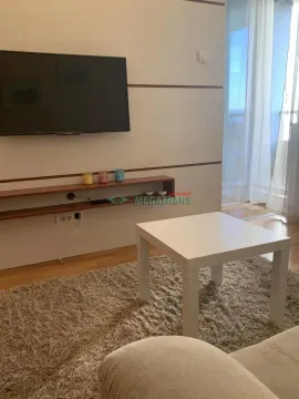 Rent, two bedroom apartment, 44m², Bulevar Oslobodjenja, Novi Sad Sve Podlokacije - image 5