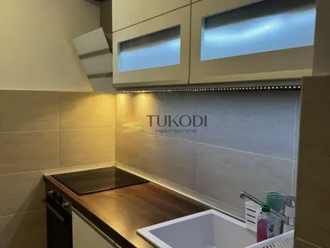 Izdavanje, dvosoban stan, 47m², Zemun Sve Podlokacije, Beograd - image 5