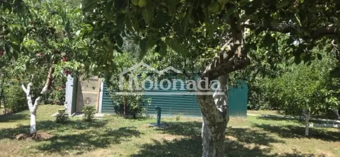 Sale, house, 100m², Babe, Sopot - image 20
