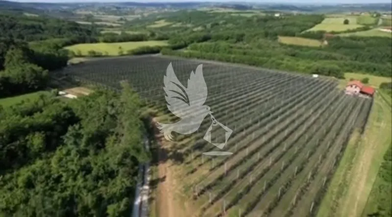 Sale, land lot, 32000m², Babe, Sopot