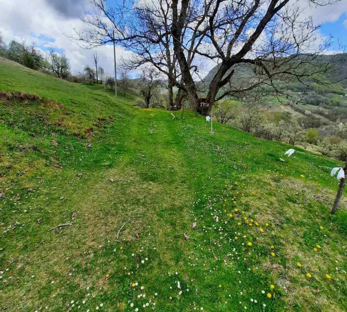 Prodaja, plac, 177419m², Bijelo Polje, Crna Gora