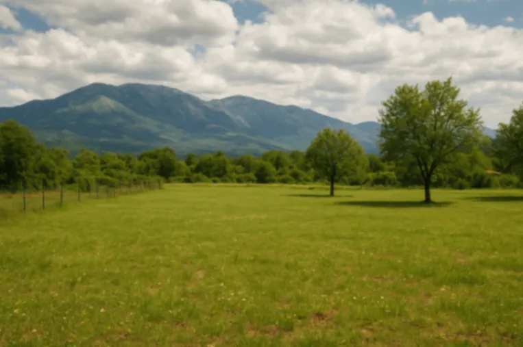 Sale, land lot, 6350m², Zagarač, Danilovgrad