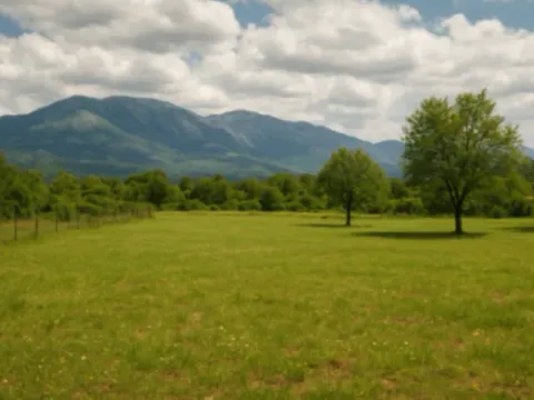 Sale, land lot, 6350m², Zagarač, Danilovgrad - image 1