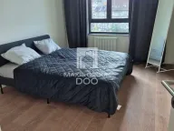 Izdavanje, poslovni prostor, 60m², Savski Venac, Beograd - image 7