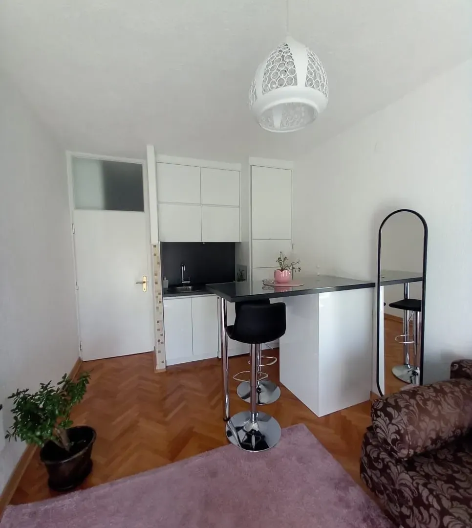 Izdavanje, jednosoban stan, 20m², Gintaš, Podgorica