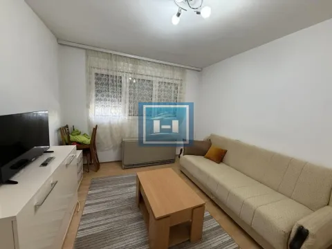Dnevna soba sa kaučem, stočićem i televizorom. - image 5