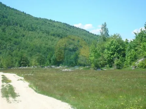 Prodaja, plac, 105000m², Plužine, Crna Gora - image 3