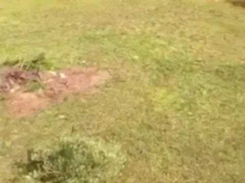 Prodaja, plac, 2015m², Centar, Bar - image 2