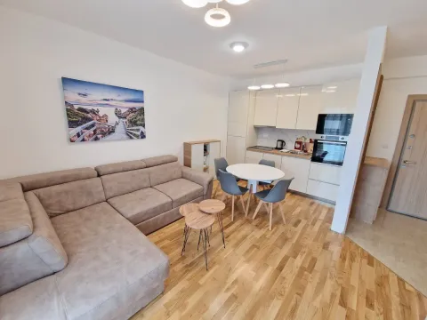 Rent, one bedroom apartment, 44m², Bečići, Budva - image 5