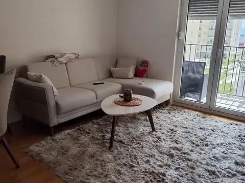 Rent, one bedroom apartment, 47m², Podgorica, Crna Gora - image 9