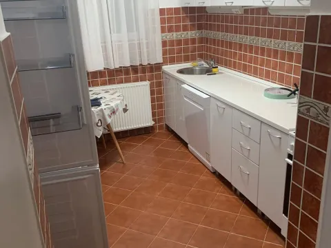 Rent, house, 250m², Zagorič, Podgorica - image 15