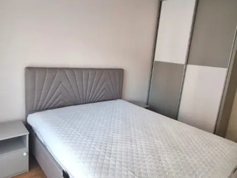 Izdavanje, jednosoban stan, 47m², Central Point, Podgorica - image 4