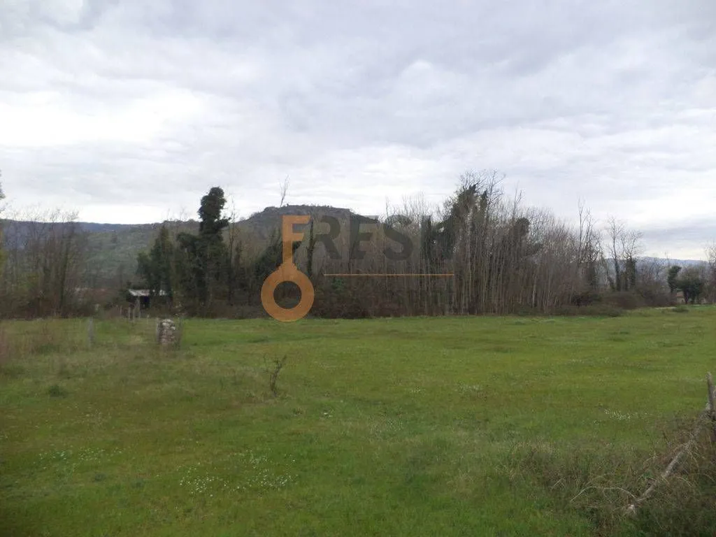 Prodaja, plac, 13000m², Danilovgrad, Crna Gora