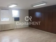 Izdavanje,  poslovni prostor, 36m2, Novi Beograd Blok 10, Novi Beograd, Beograd