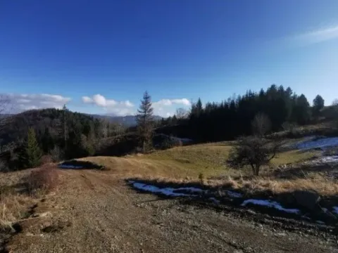 Sale, land lot, 4390m², Tara, Srbija - image 7