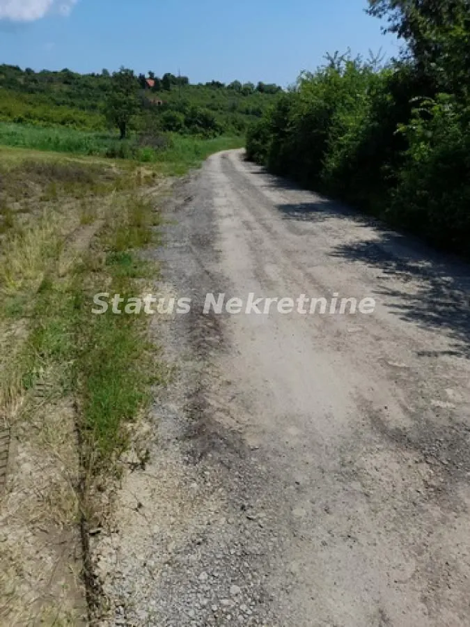 Prodaja, plac, 3000m², Banja Vrdnik, Irig
