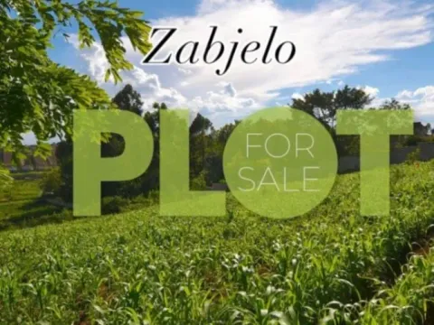 Prodaja, plac, 932m², Zabjelo, Podgorica - image 2