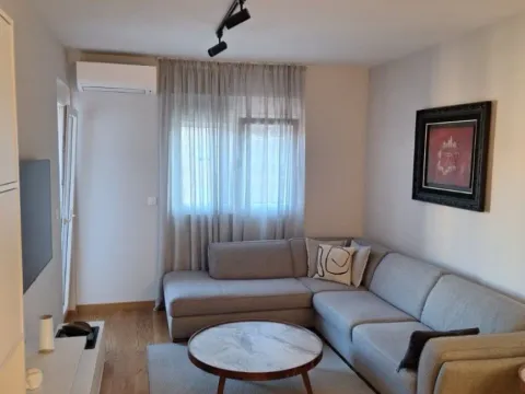 Rent, one bedroom apartment, 48m², New City, Podgorica - image 13