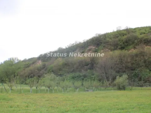 Sale, office space, 848m², Titel, Novi Sad - image 9