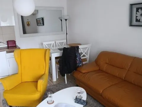 Stan in Tošin bunar