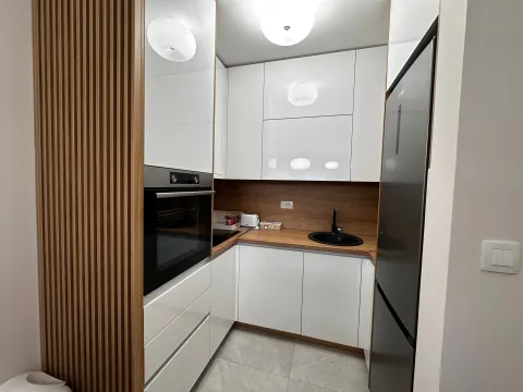 Izdavanje, jednosoban stan, 50m², Central Point, Podgorica - image 3