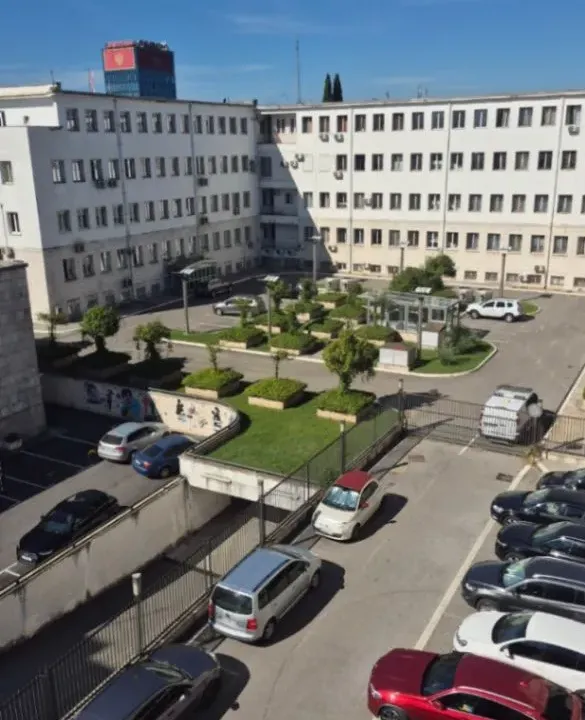 Izdavanje, dvosoban stan, 80m², Centar, Podgorica