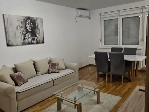 Rent, one bedroom apartment, 56m², Jugovićevo, Novi Sad Sve Podlokacije - image 11
